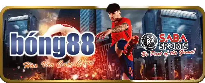 Tốc độ truy cập nhanh